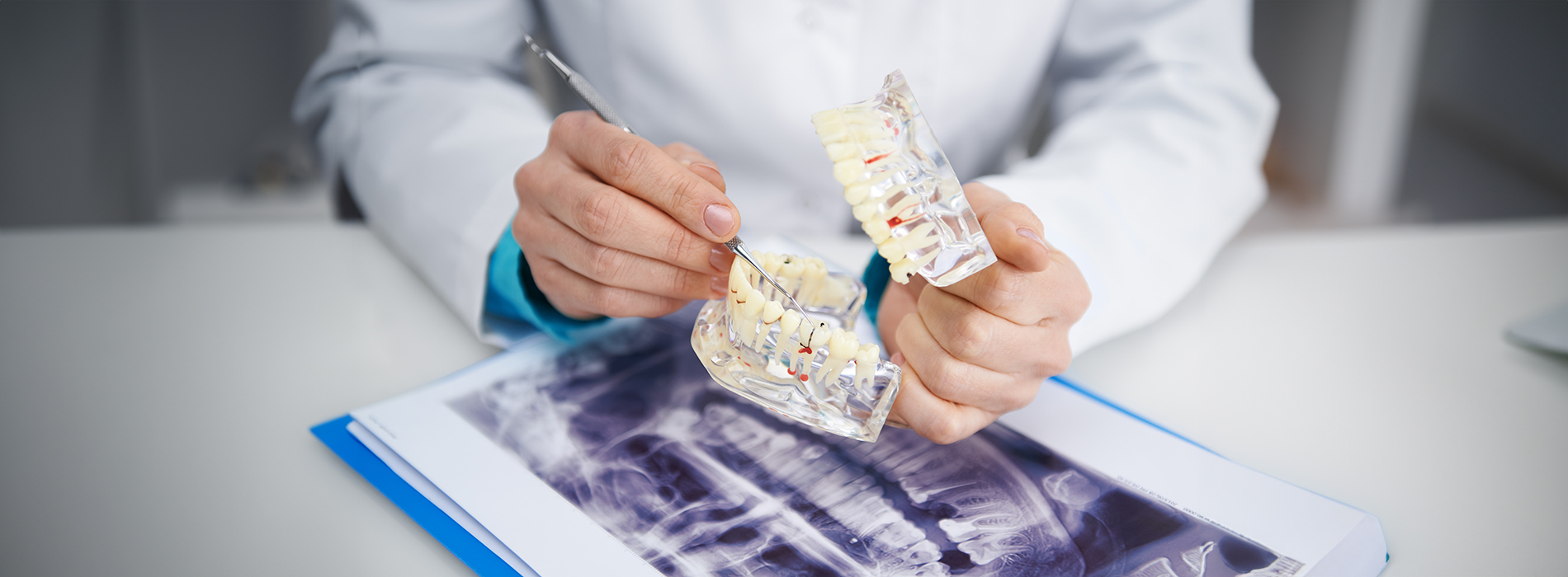 The image shows a person in a white lab coat holding a small, intricate model of a human head.