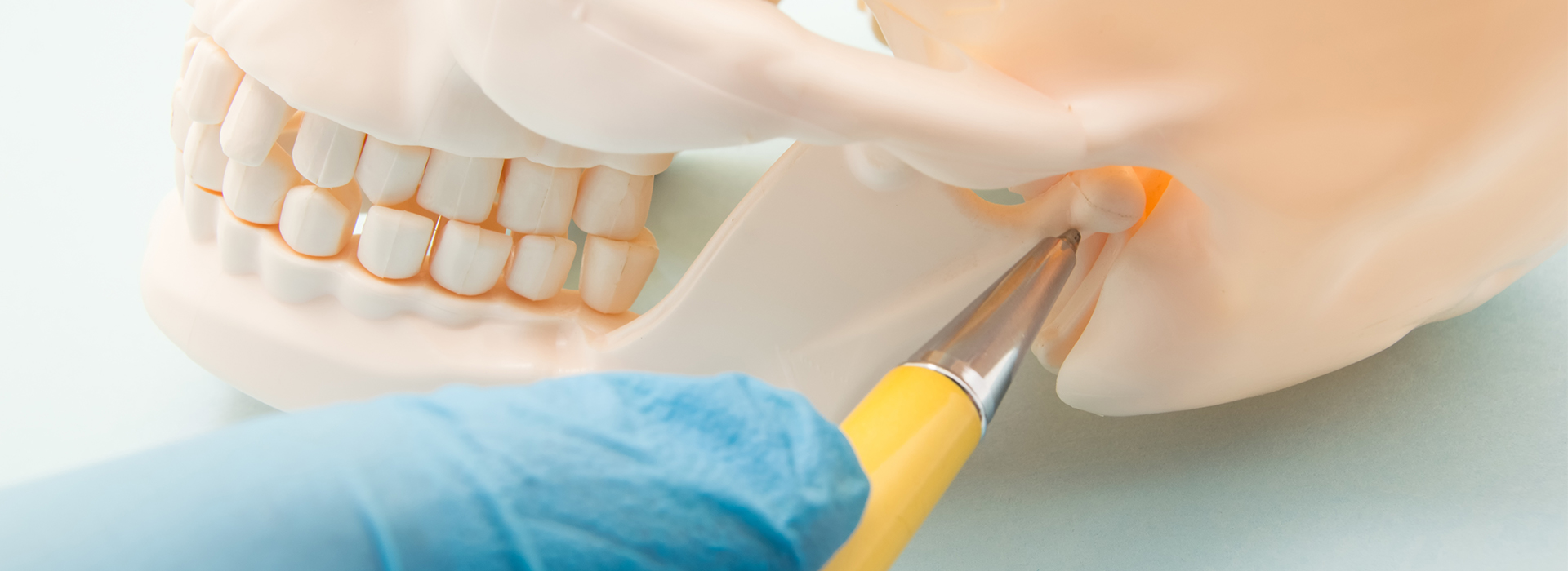 A plastic human head model being prepared for dental implant surgery with a dental tool and yellow screw.